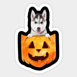 Husky Dog In Pumpkin Pocket Halloween Sticker